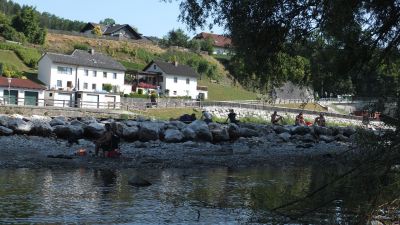 Klicken für Bild in voller Größe